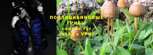 экстази Арсеньев